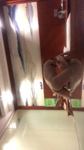 广佛骚逼调教实录：第三次见面彻底放开