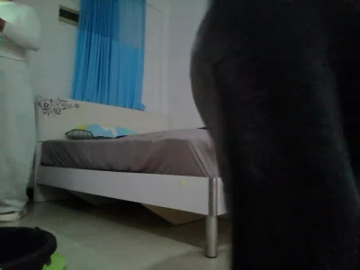 少妇69姿势秀光滑翘臀，直接撩人视觉冲击