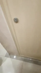 走廊暗角里的禁忌刺激：被发现的快感与紧张
