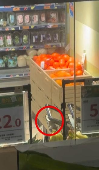 老鼠在水果区活动，疑似啃食水果