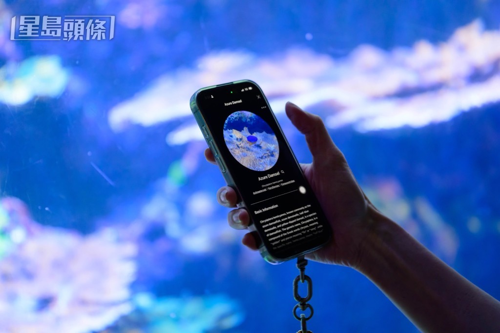 学生使用AI工具分析珊瑚样本
