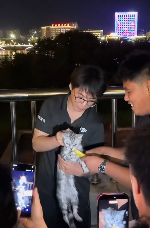 获救小猫接受市民喂食
