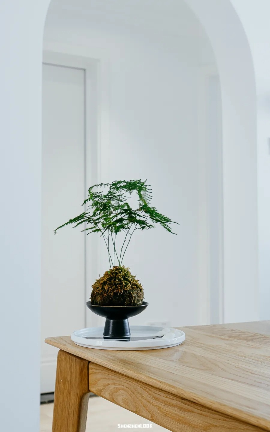 苔玉绿植点缀纯白空间