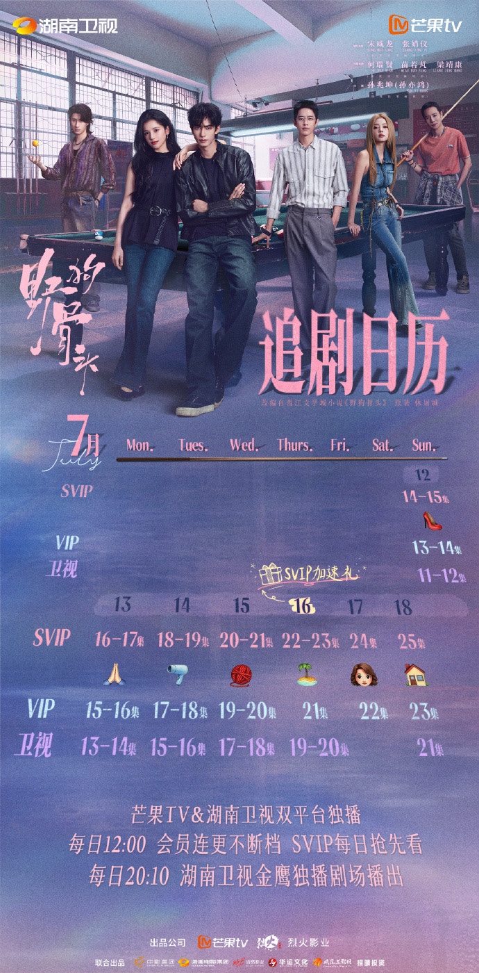《野狗骨头》播出更新时间