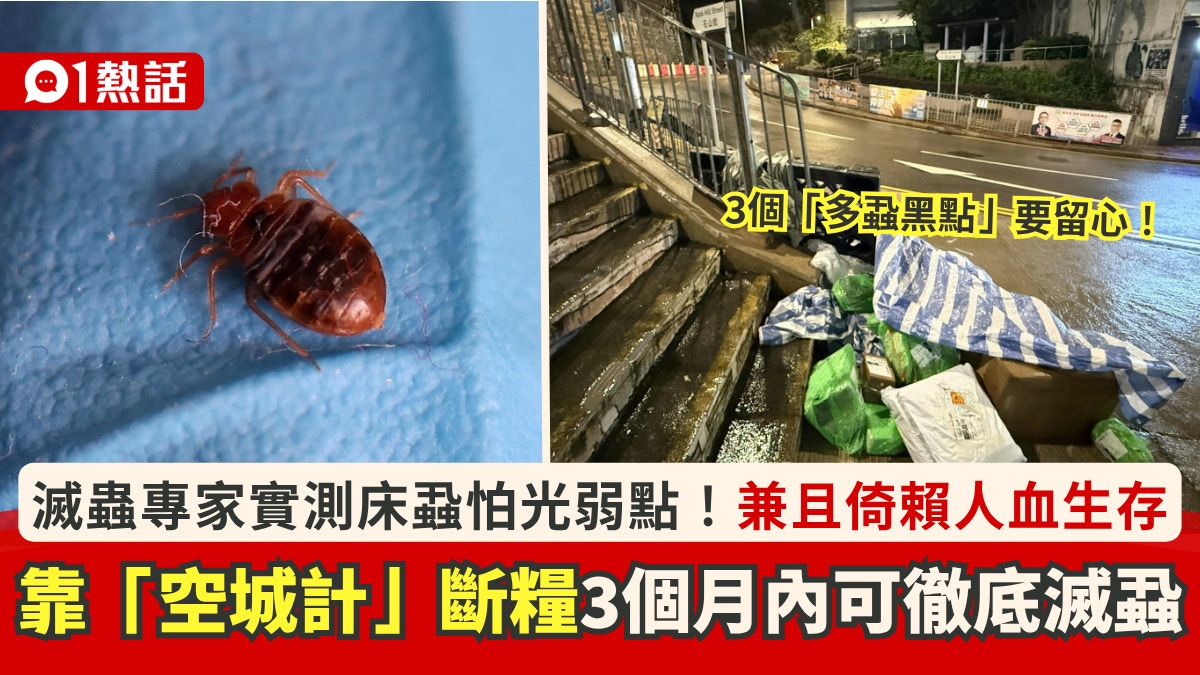 灭虫专家揭露床虱两大弱点|教授三招「空城计」灭虱法 警惕三大高危场所