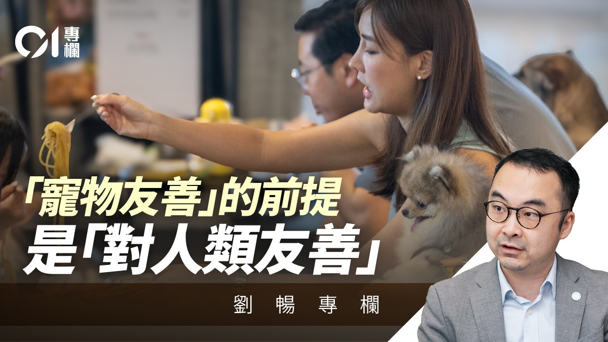 香港“宠物友善食肆”新政实施观察｜经营升级与狗主自律缺一不可