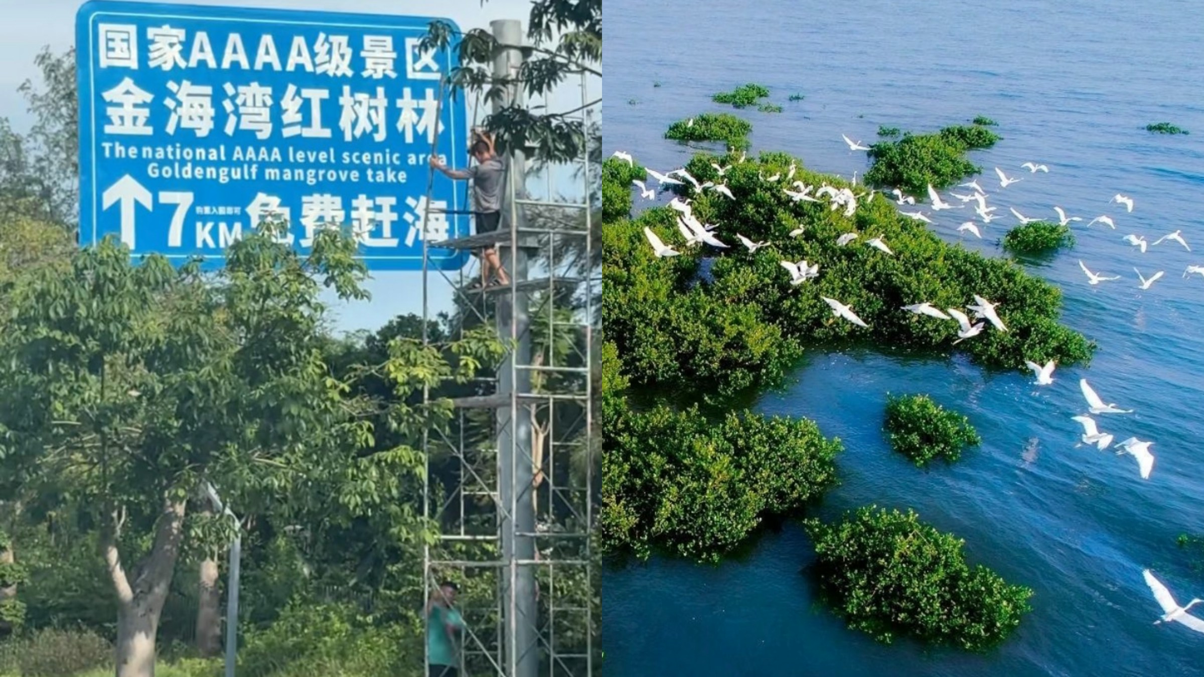 广西景区「免费赶海」宣传牌被指文字陷阱｜大字免费小字收费引争议