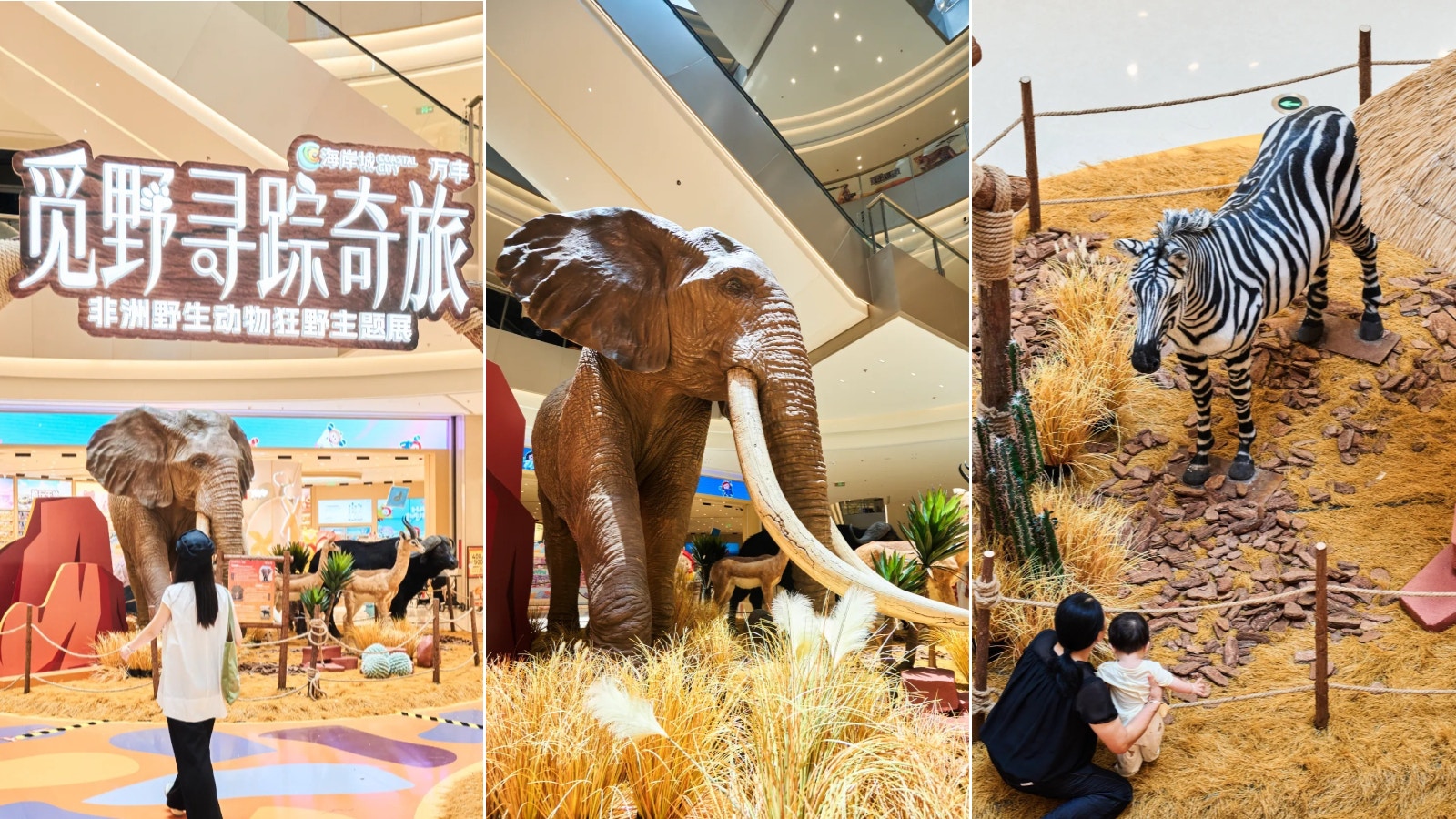深圳万丰海岸城举办非洲野生动物主题展|1:1标本还原草原生态