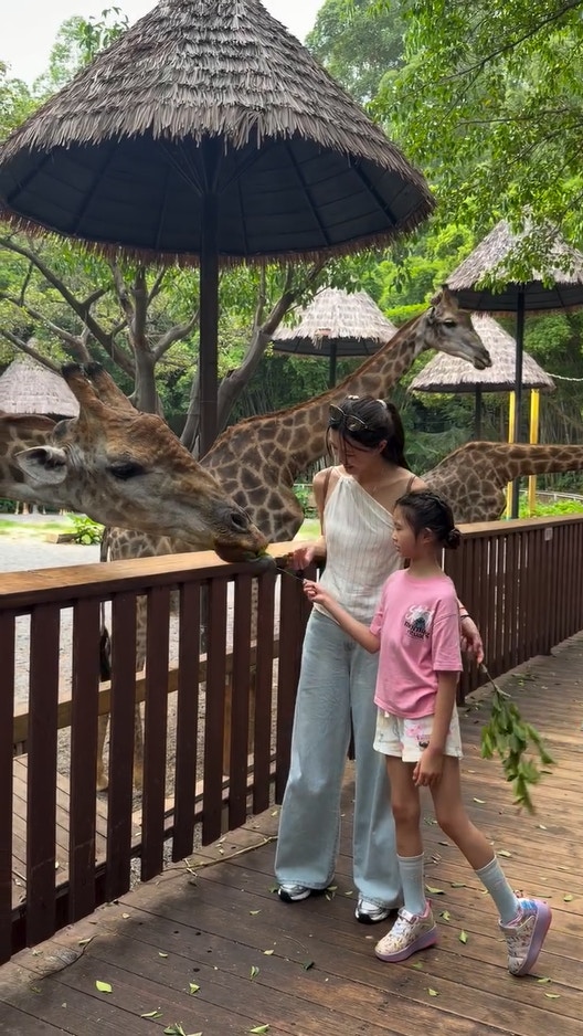 吴若希子女兴奋喂食长颈鹿
