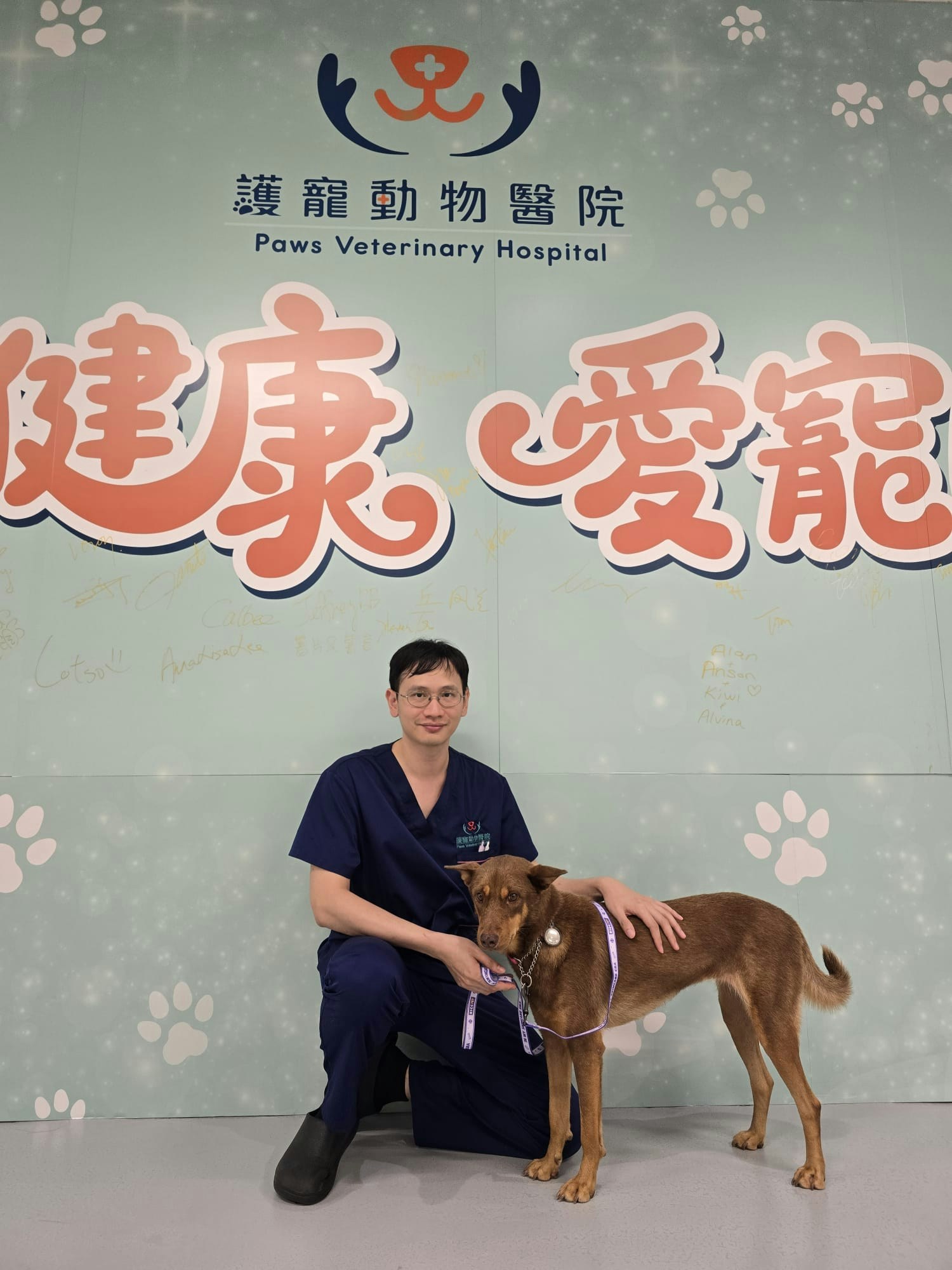 兽医为狗狗进行口腔检查