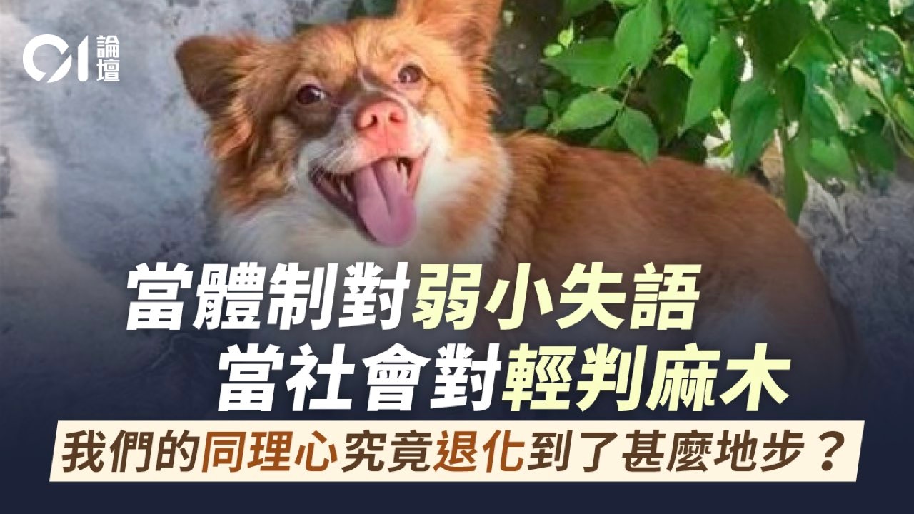 社会同理心危机|当生命沦为娱乐工具,我们如何为下一代树立榜样
