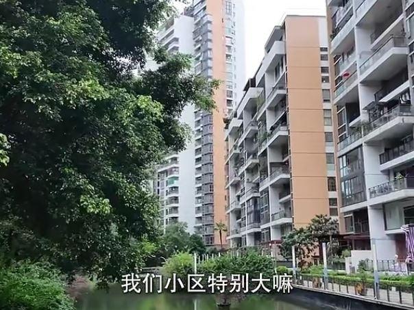 绿树成荫的深业新岸线小区全景