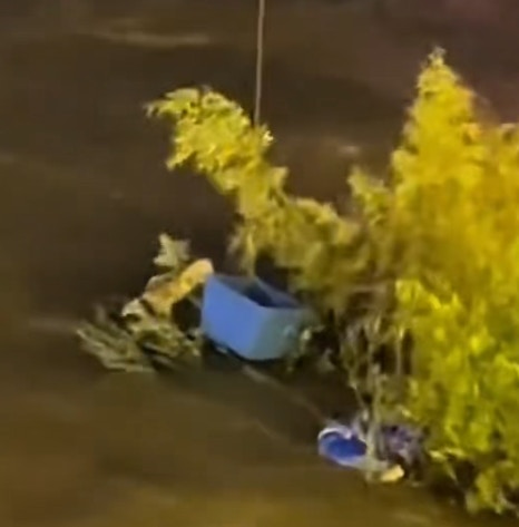 小猫尝试跳入无人机救援篮筐