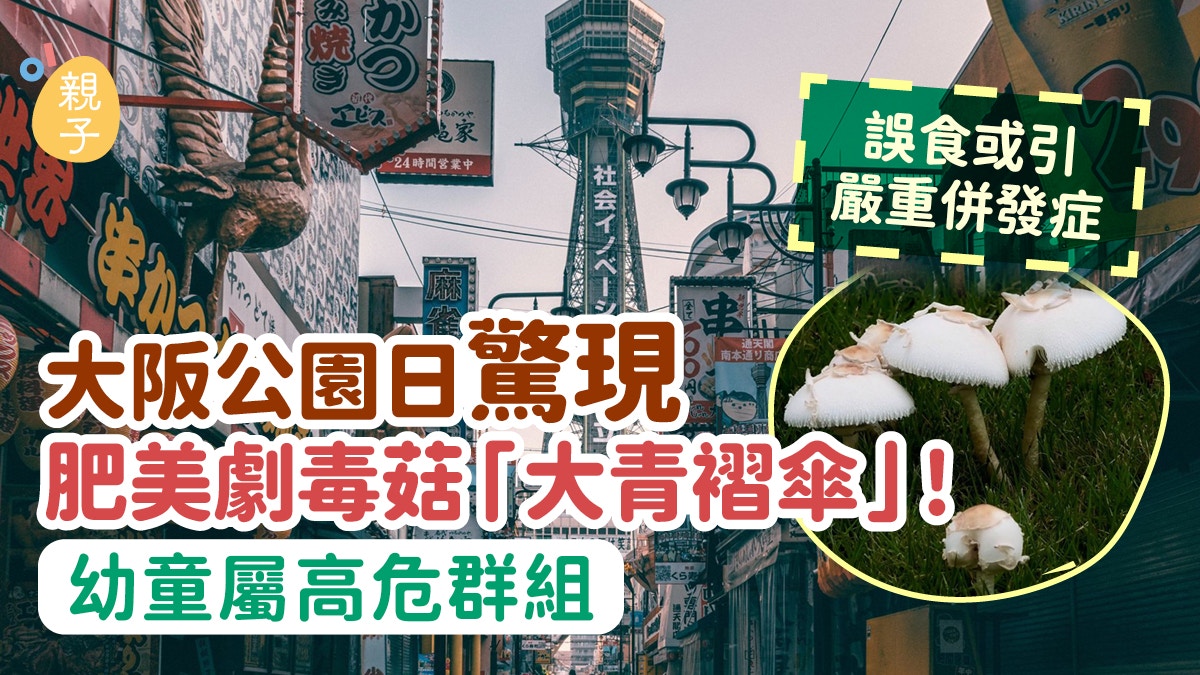 大阪公园惊现剧毒蘑菇!家长带孩子游玩需警惕