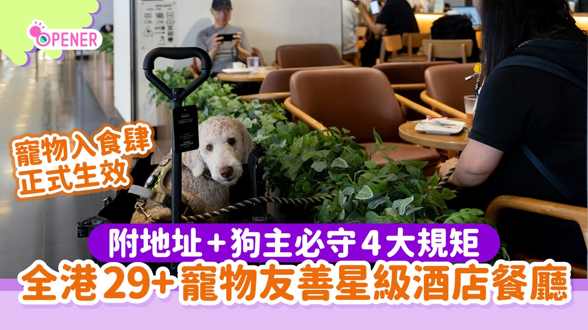 香港29间星级酒店餐厅开放宠物友善用餐｜附各区详细名单与狗主指引