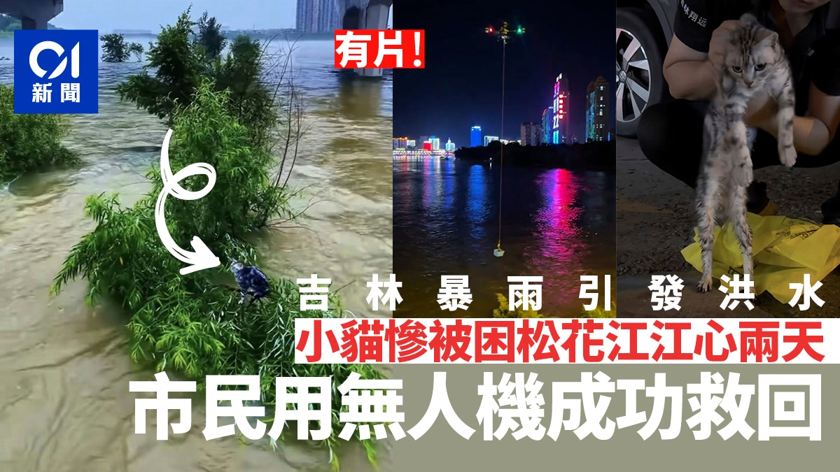 吉林松花江洪水围困小猫2日｜无人机团队三度施救终成功