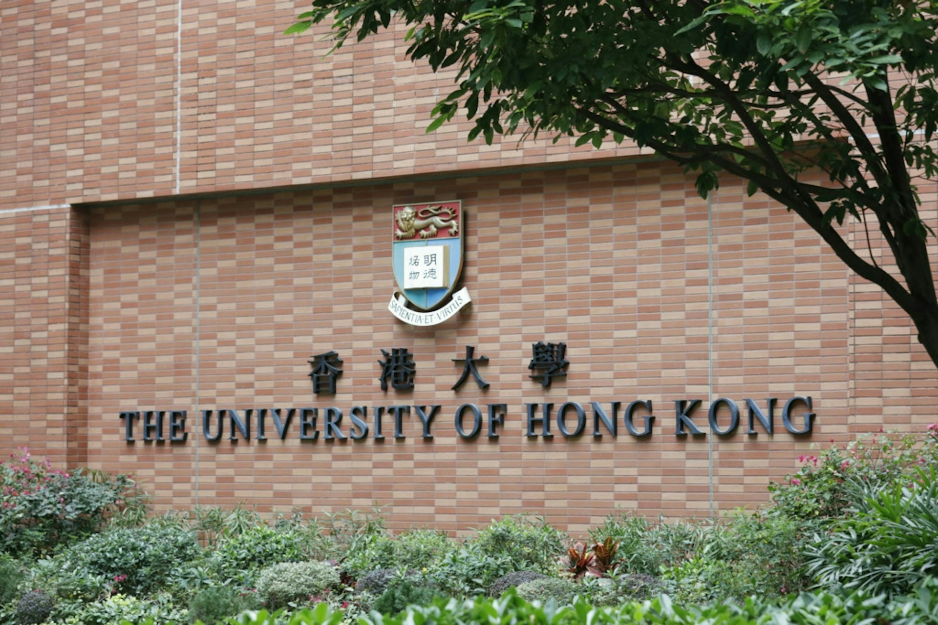 港大特设8000万元奖学金计划
