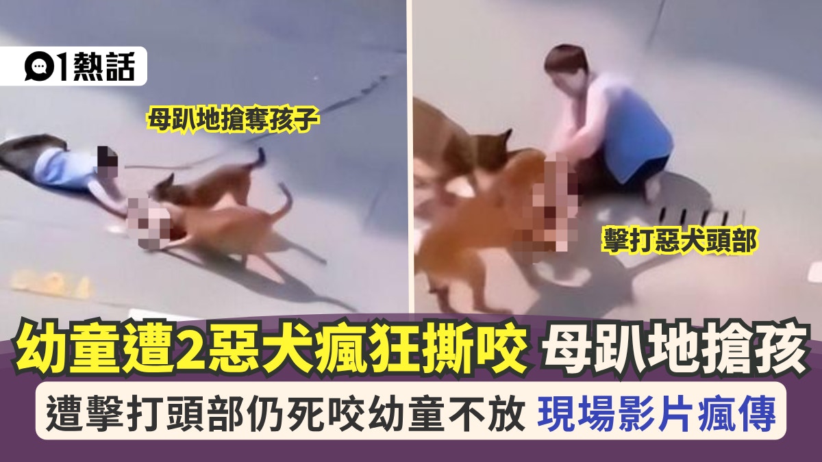 上海青浦区幼童遭恶犬袭击事件｜狗主已被采取刑事措施