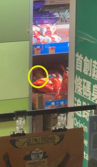 红磡百佳超市夜间闭店后，老鼠在货架游走觅食