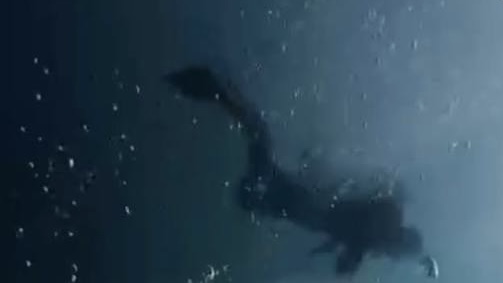 中国夫妇印尼浮潜遇难｜事发科莫多国家公园，未穿救生衣