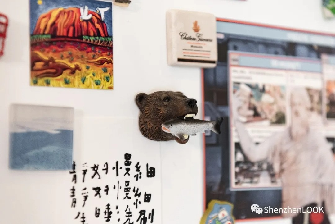 子涵收藏的各国冰箱贴