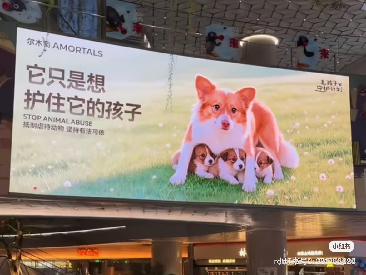 尔木萄品牌在深圳投放反虐动物广告