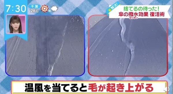 雨伞防水层损坏示意图