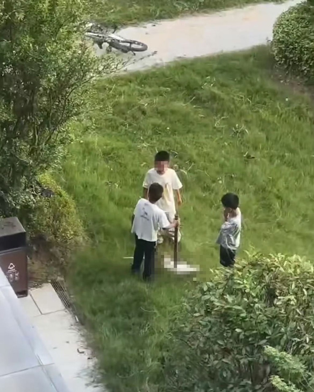 网络流传的虐猫现场照片