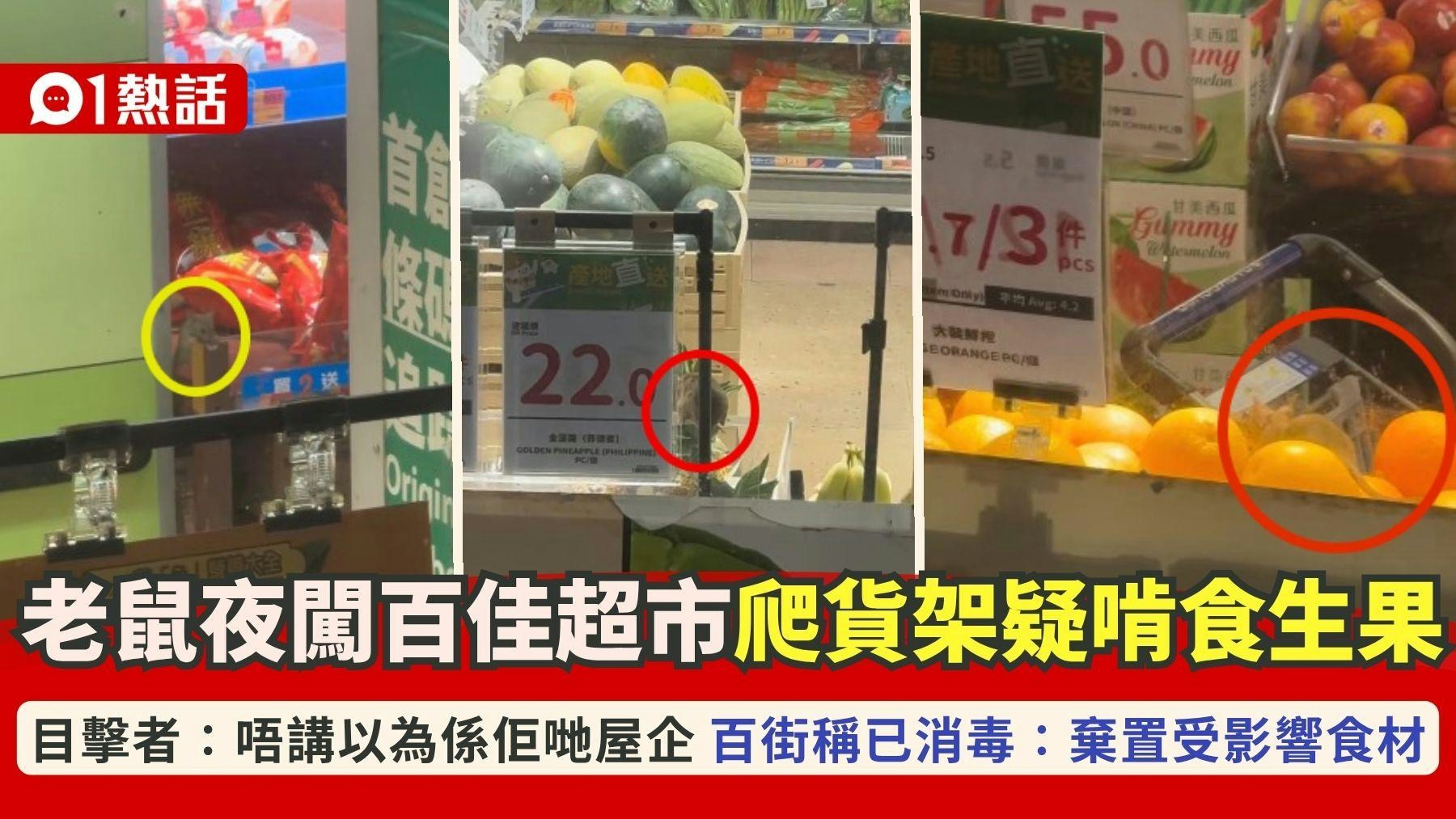 红磡百佳超市惊现鼠患|多只老鼠夜间货架觅食 百佳回应已全面消毒