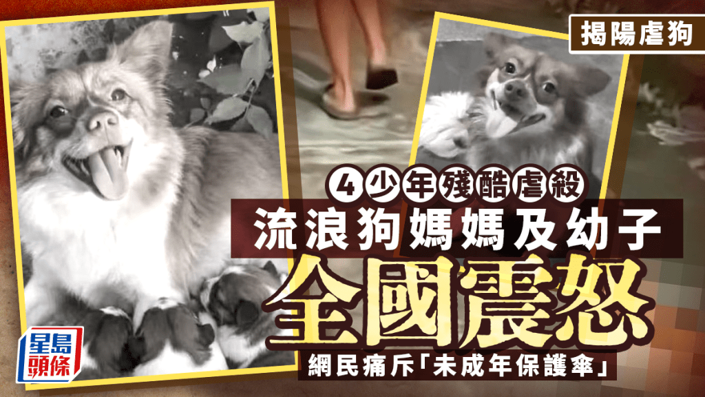 广东揭阳未成年人虐杀犬只案引众怒 官方通报涉事少年已送专门学校