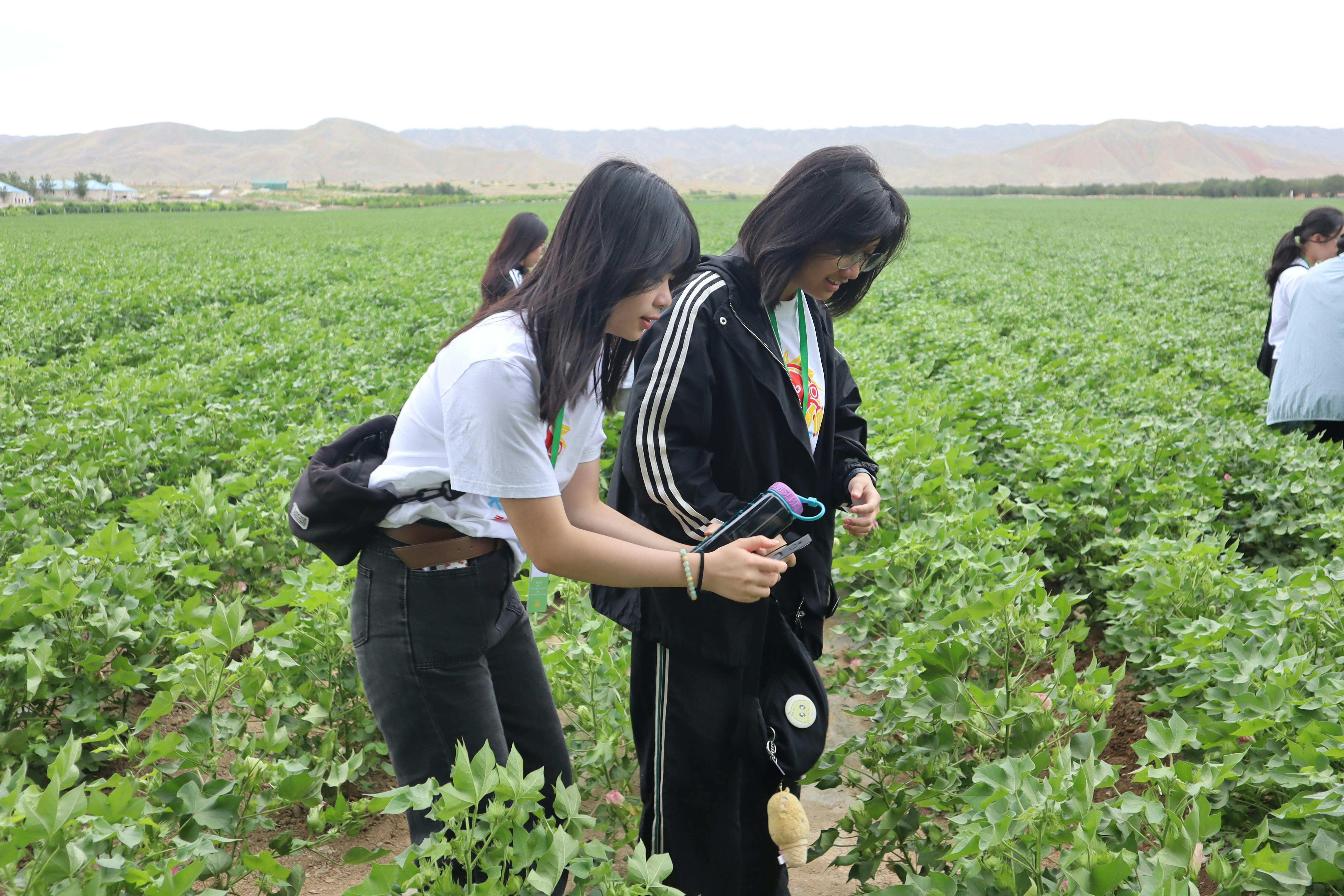 冼同学与田同学体验农业科技