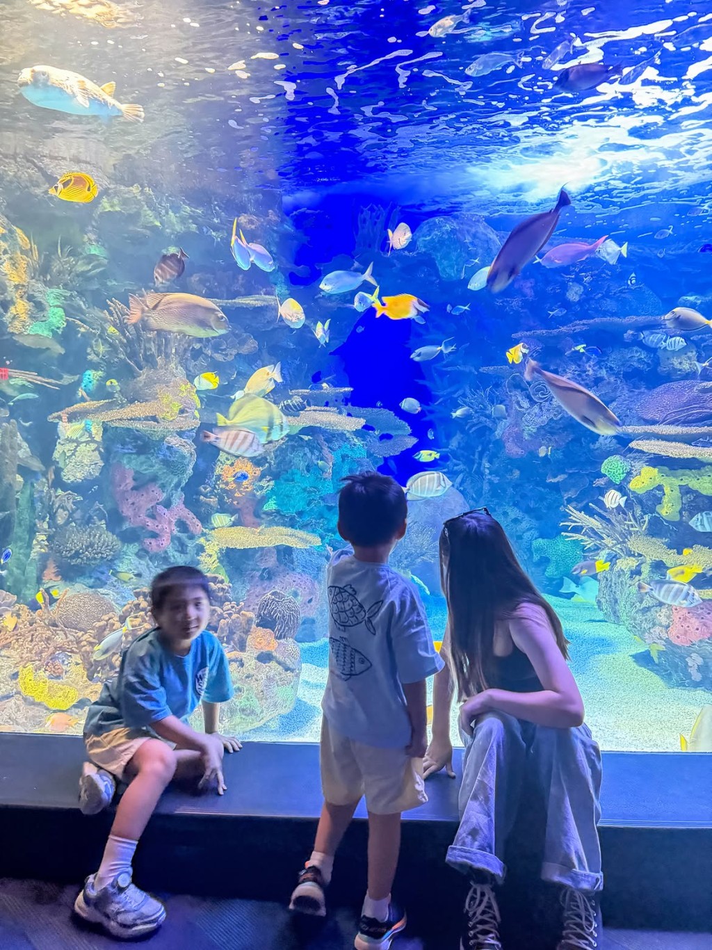 倪晨曦带儿子参观水族馆