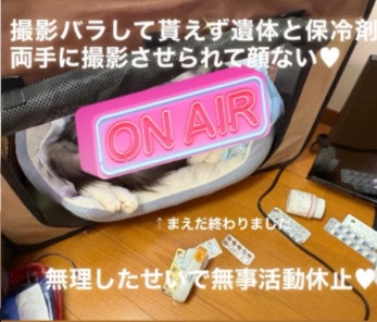 田中宁宁宣布无限期停工声明
