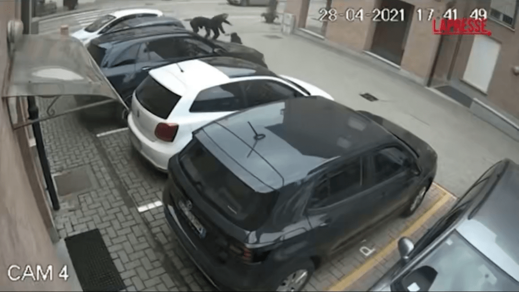 罗杰罗在车辆旁与劫匪纠缠