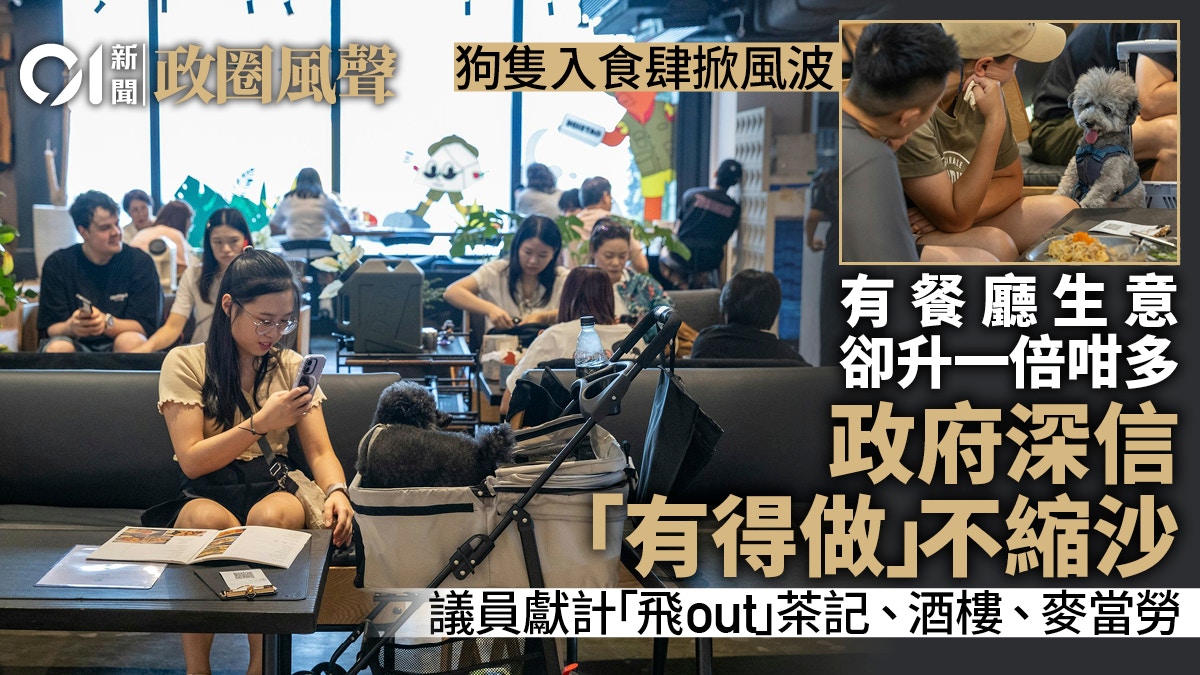 犬只入食肆政策争议持续 政界建议收紧审批标准与完善配套措施|香港政策观察
