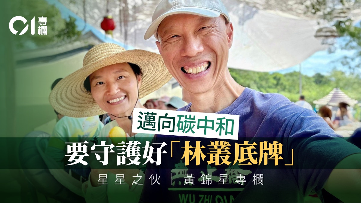 荔枝窝生态复育十年路|从民族植物到碳储存的本土实践