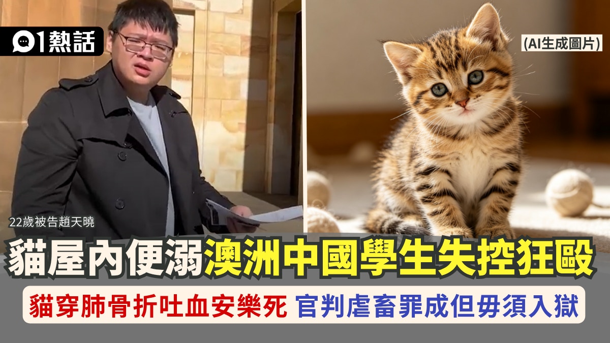 澳洲中国留学生因猫屋内便溺虐猫致死｜获准签担保免入狱