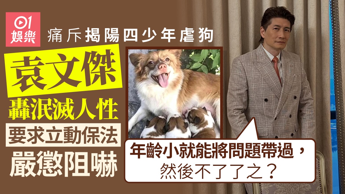 袁文杰怒轰虐狗少年泯灭人性 呼吁立法重罚：养宠物前请三思
