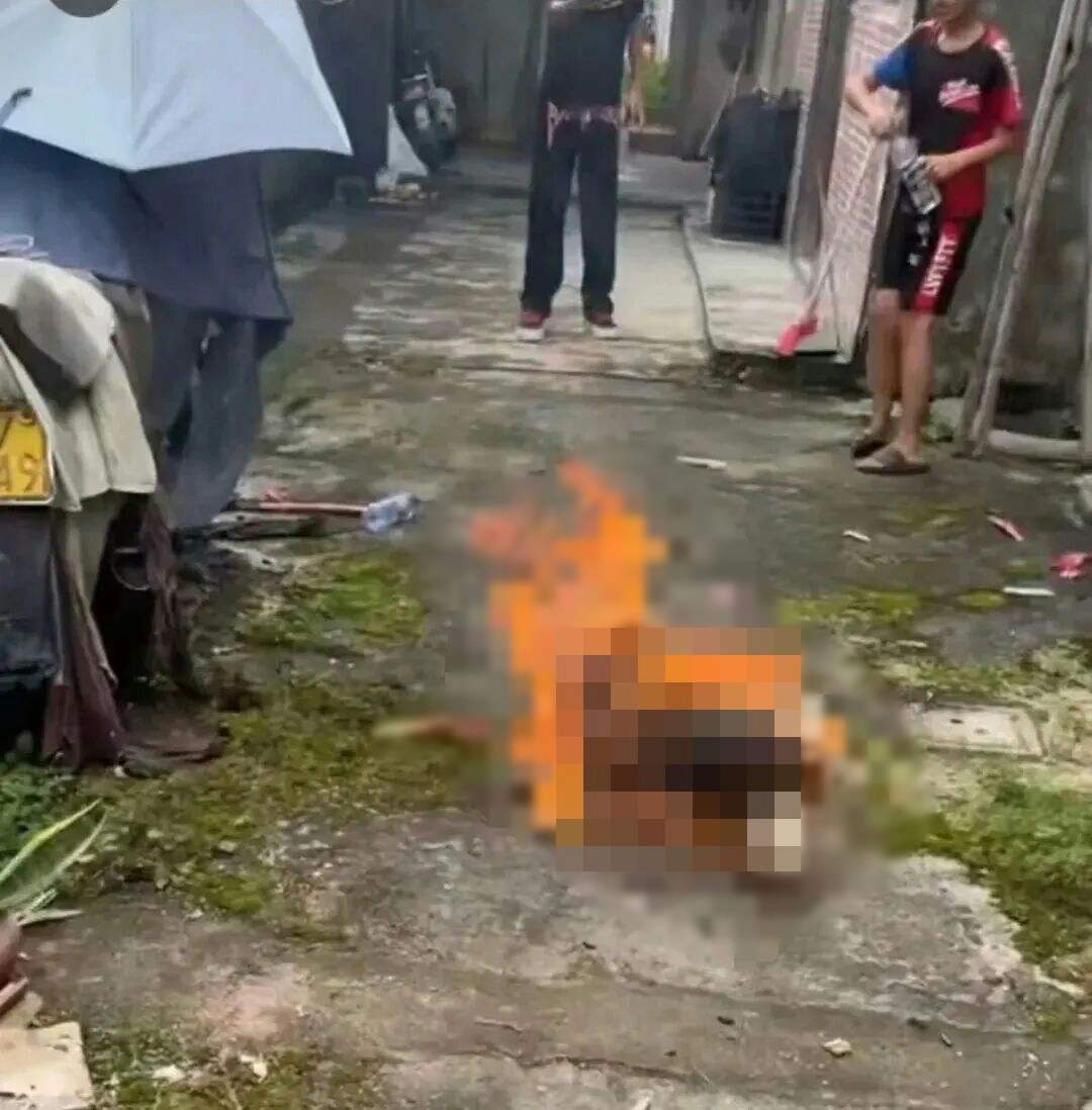 网传虐狗事件视频截图
